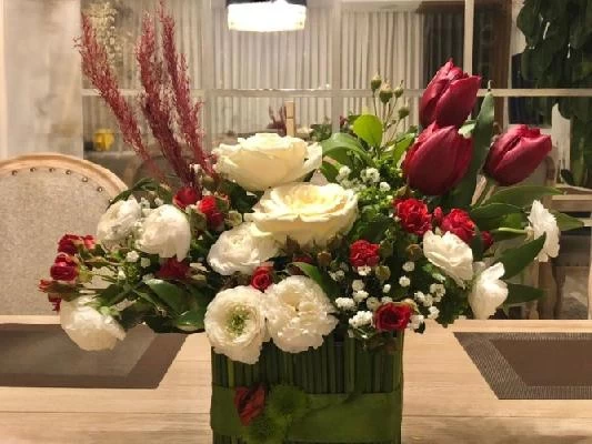 دکتر سید مرتضی جعفرزاده تصاویر مطب و محل کار5